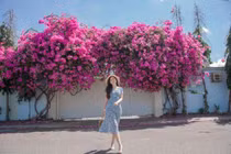 Giàn hoa giấy Vũng Tàu đỏ rực, các bạn trẻ sống ảo "cháy máy"