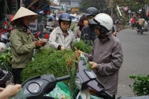 Người dân Hà Nội đi chợ sớm mua lá mùi về tắm Tất niên