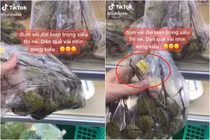 Quả vải bán tại siêu thị Đài Loan, netizen ngã ngửa với giá tiền