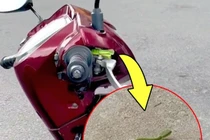 Thuê xe máy chơi Đà Lạt, cô gái ngã ngửa khi gặp "bé na"