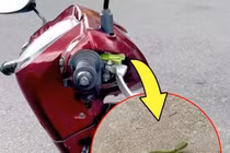 Thuê xe máy chơi Đà Lạt, cô gái ngã ngửa khi gặp "bé na"