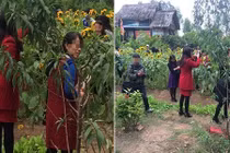 Đi lễ chùa cầu an tiện tay bẻ cây, chụp ảnh