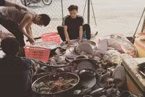 Ngược đời: Về nhà bạn gái, chàng trai ngồi rửa bát cao như núi