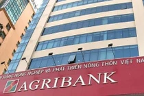 Nghi vấn công ty Tân Nam Việt được “dàn xếp” trúng loạt gói thầu tại chi nhánh Agribank?