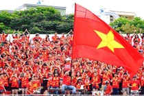 CĐV ái ngại giá vé trận đấu giao hữu của ĐTQG Việt Nam