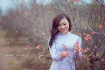 Cô hot girl trường “Kinh - Công” khoe sắc bên hoa đào