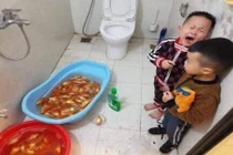 Tắm cho cá chép Táo quân, gia đình nhận cái kết “đắng“