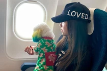 Đi du lịch cùng thú cưng, thiếu nữ bật mí cách đưa "cún" lên máy bay