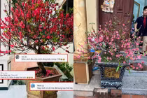 "Kiếp nạn" hoa Tết 2024: Nở bung bét, gia chủ đứng ngồi khó yên