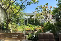 Vườn rau sạch 200m2 sum suê cây trái của nữ giám đốc Sài Gòn 