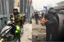 Đầu năm xem ảnh boss cùng sen vượt trăm dặm đường du xuânTết