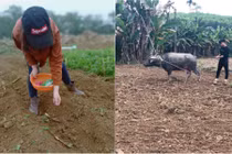 Dân mạng đua nhau khoe ảnh đi làm đồng sau Tết: Mấy ai sống thật?