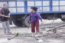 Ảnh: Xót xa cảnh đào, quất bị chặt, đập la liệt trên vỉa hè