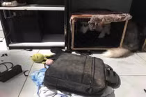 Liên tục gây “nghiệp chướng”, các boss bị sen phạt cực nặng