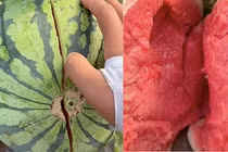 Dùng "nội công" bổ dưa hấu, anh nông dân khiến netizen phấn khích