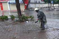 Chảy nước mắt cảnh đào, quất bị tiểu thương đập bỏ chiều 30 Tết