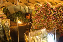 "Đột nhập" chợ hoa lớn nhất Hà Nội trước ngày 20/10