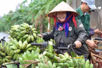 Ảnh: Mùa thu hoạch trên núi đá ở “vương quốc chuối” Việt Nam