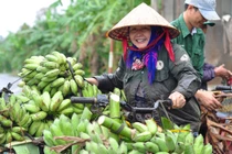 Ảnh: Mùa thu hoạch trên núi đá ở “vương quốc chuối” Việt Nam