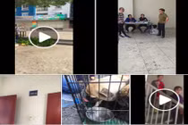 4 chú cún bị mắc kẹt trong vụ cháy chung cư Carina đã được cứu