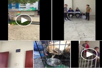 4 chú cún bị mắc kẹt trong vụ cháy chung cư Carina đã được cứu