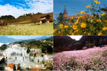 Điểm đến trong nước không thể bỏ qua trong tháng 11