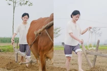 Danh tính gái xinh chăn bò gây bão mạng, tưởng ai hóa người quen