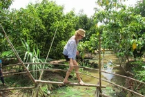 Trải nghiệm cầu khỉ “đáng sợ nhất thế giới” ở miền Tây