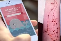 Trò chơi bệnh hoạn “Thử thách Cá voi xanh” đã lây lan tới Việt Nam