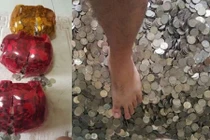 Cặp vợ chồng trẻ nuôi lợn tiết kiệm tiền tỷ gây sốc