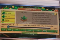 Video: Chuyện thật như đùa: Chơi game ảo thu rau thật ở Hà Nội