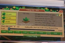 Video: Chuyện thật như đùa: Chơi game ảo thu rau thật ở Hà Nội