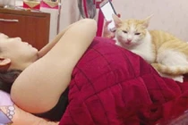 Thanh niên "cay cú" tố cáo bố mẹ yêu mèo hơn con
