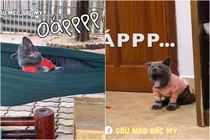 Chán cà khịa dạo, idol "Nguyễn Văn Dúi" bị bóc ảnh ngáp rách miệng