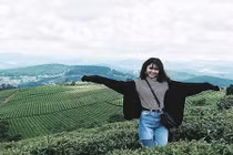 Đồi chè Gia Lai trở thành "góc sống ảo" mới cực hot