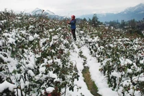 Miền Bắc, Hà Nội hứng đợt rét kỷ lục, nhiệt độ dưới 10 độ C