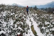 Miền Bắc, Hà Nội hứng đợt rét kỷ lục, nhiệt độ dưới 10 độ C