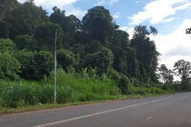 Truyền thuyết giữ rừng của “ngọn đồi tình yêu” ở cao nguyên