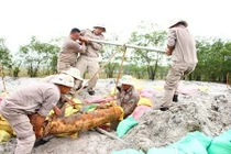 Chặn kịp thời nhóm đào bom khủng mổ lấy thuốc nổ bán