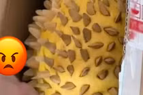 Săn sale sầu riêng online, khách mở thùng nhận hàng rồi ngã khụyu