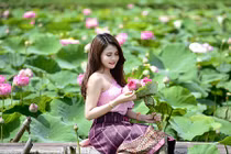 Nữ sinh Lào đẹp dịu dàng trong bộ ảnh sen Việt