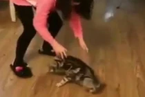 Boss quay cuồng với lũ sen "mất nết"