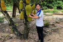 Hiện tượng mạng Lệ Rơi ở tuổi 36 có cuộc sống ra sao?