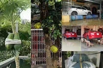 Lo bão số 3 Yagi đổ bộ, netizen có màn giữ của cực chất