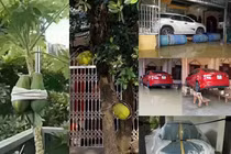 Lo bão số 3 Yagi đổ bộ, netizen có màn giữ của cực chất