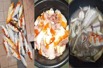 Nấu súp đàn cá Koi, cô gái trẻ khiến dân tình phẫn nộ