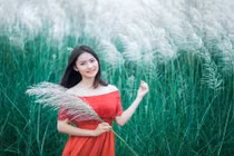 Tuyệt đẹp, bãi lau Thanh Chương hút hồn giới trẻ xứ Nghệ