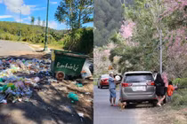 Khách du lịch Đà Lạt vô ý thức, netizen xót xa cho cảnh vật