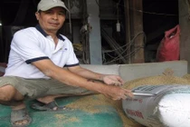 Tình tiết bất ngờ vụ nhặt được 3 cây vàng trong bao lúa 