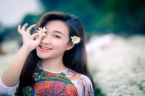 Đua nhau khoe ảnh Hà Nội đẹp nhất mùa cúc họa mi